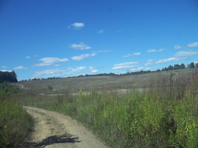 100_1528.JPG