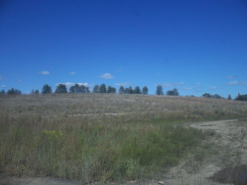 100_1529.JPG