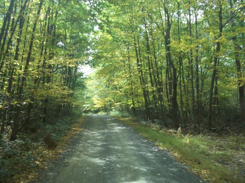 100_1795.JPG