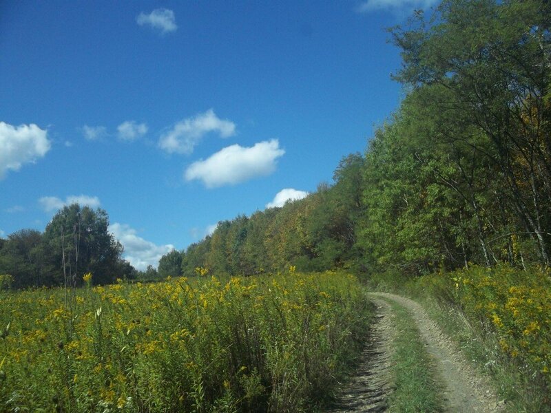 100_1853.JPG