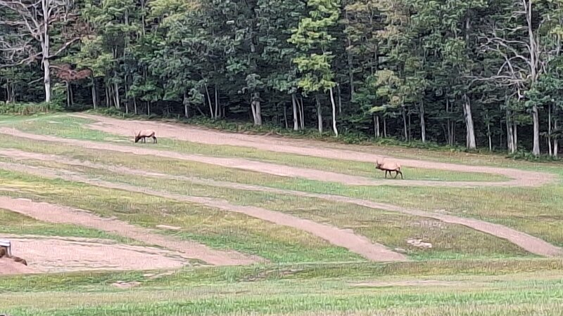 20250829_171153.jpg