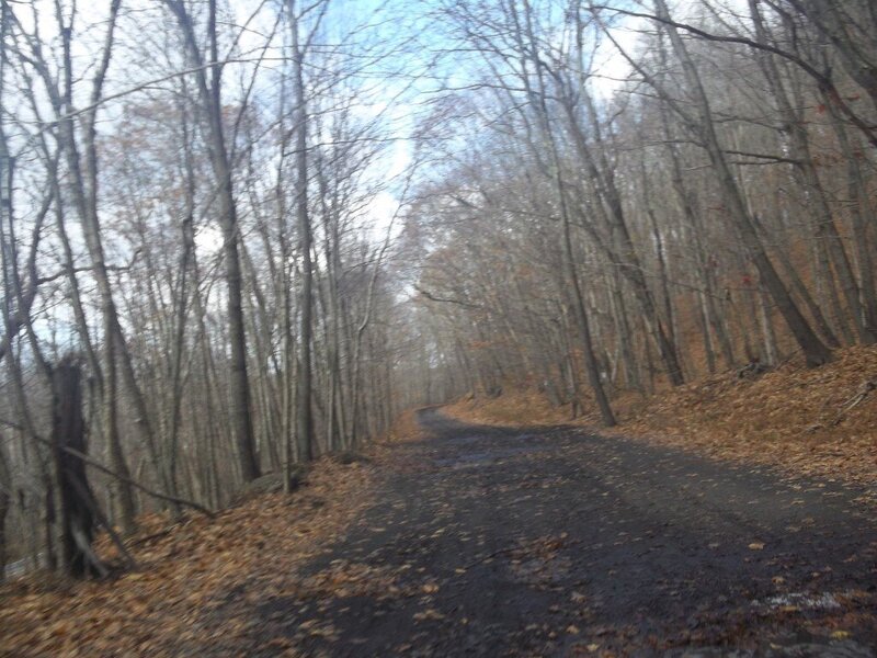 100_2096 (Medium).JPG