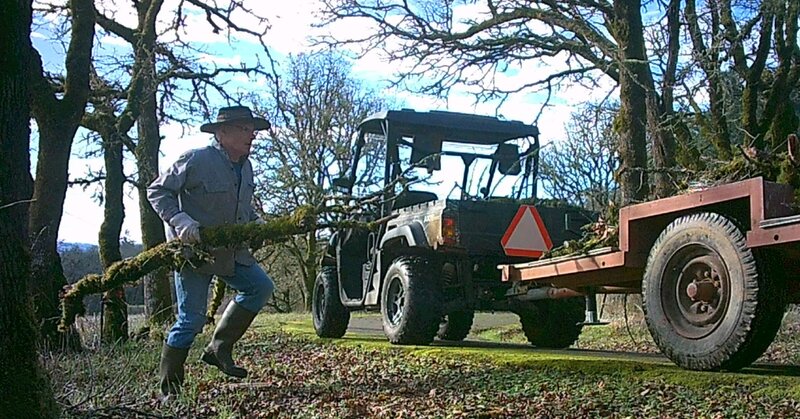 buggy.thumb.jpg.0b27e3b72e03f656062cfa50e9f74557.jpg