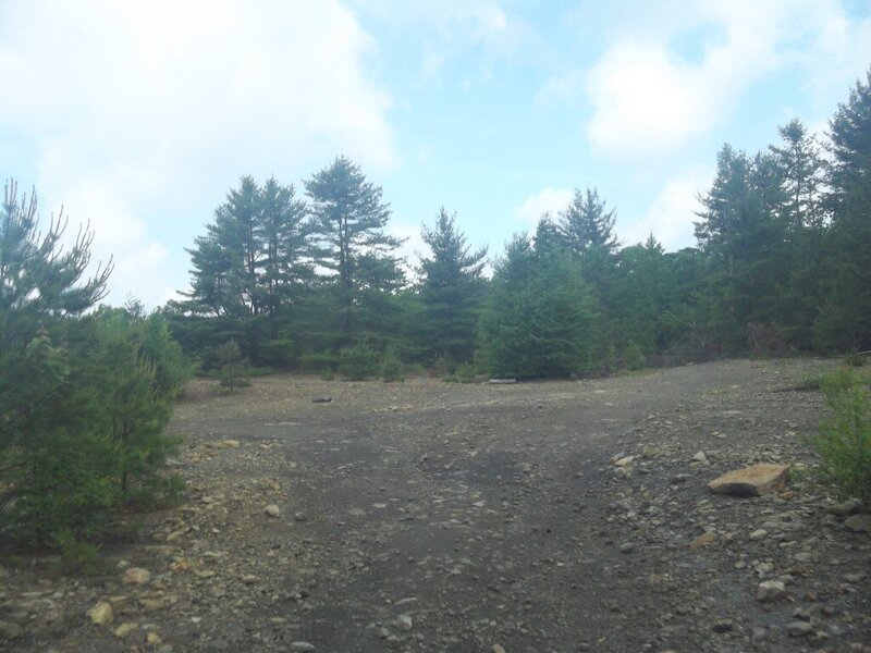 100_2534.JPG