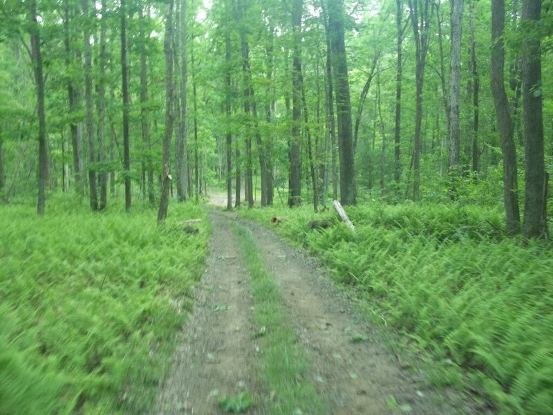 100_2552.JPG