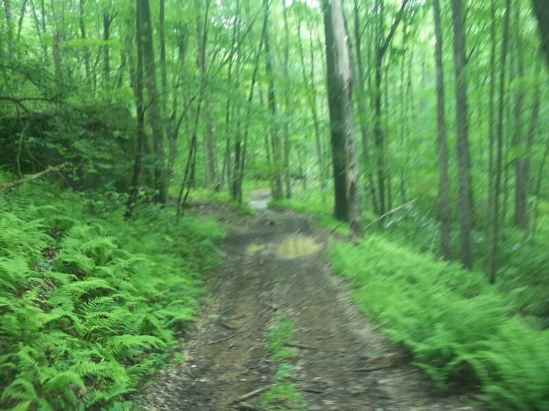 100_2555.JPG