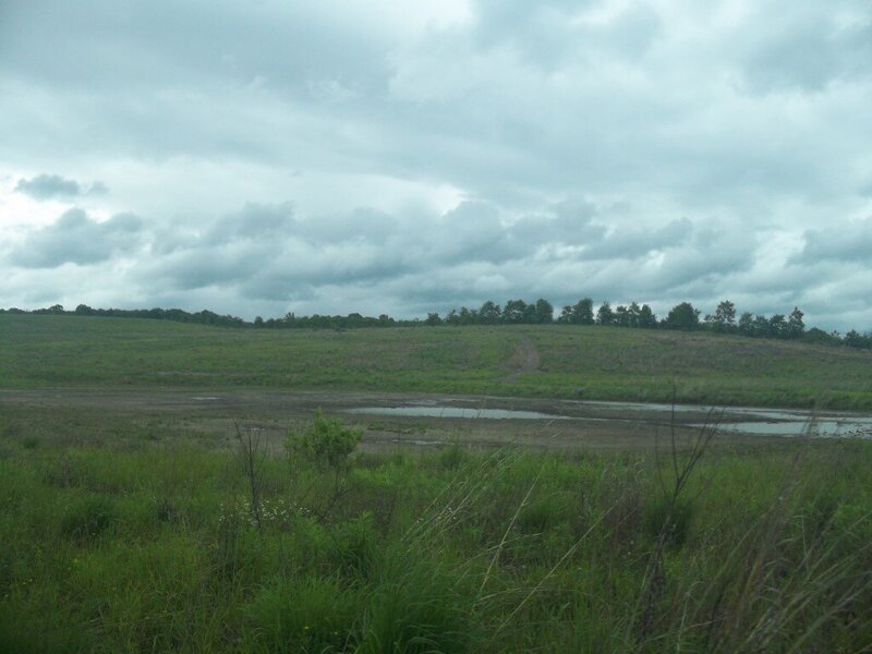 100_2566.JPG