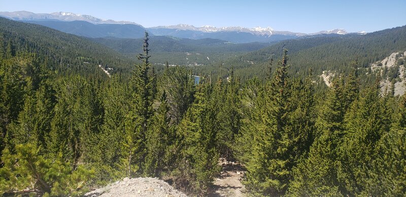 20260611_104058.jpg