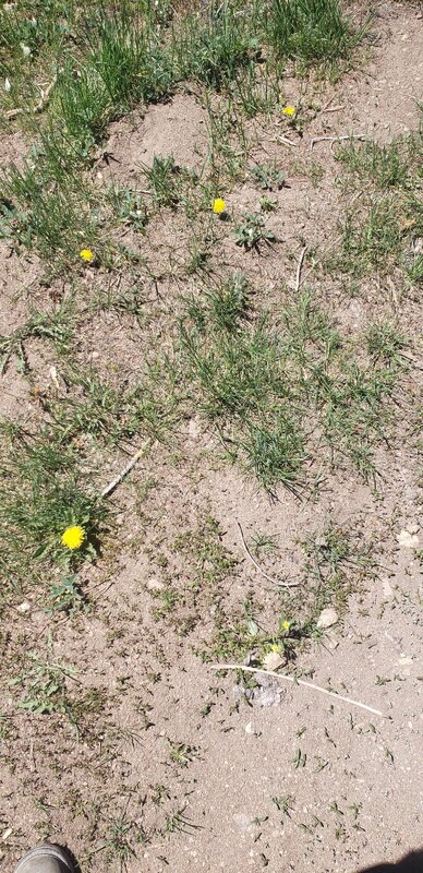 20260611_114629.jpg